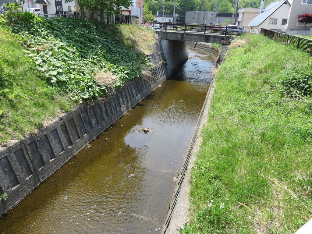 日記