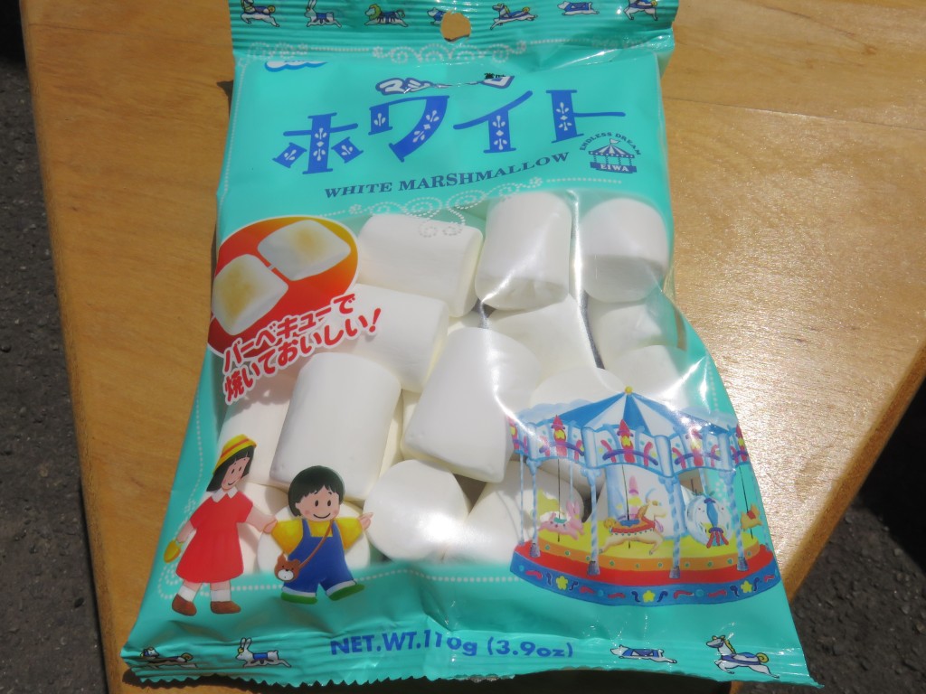 日記