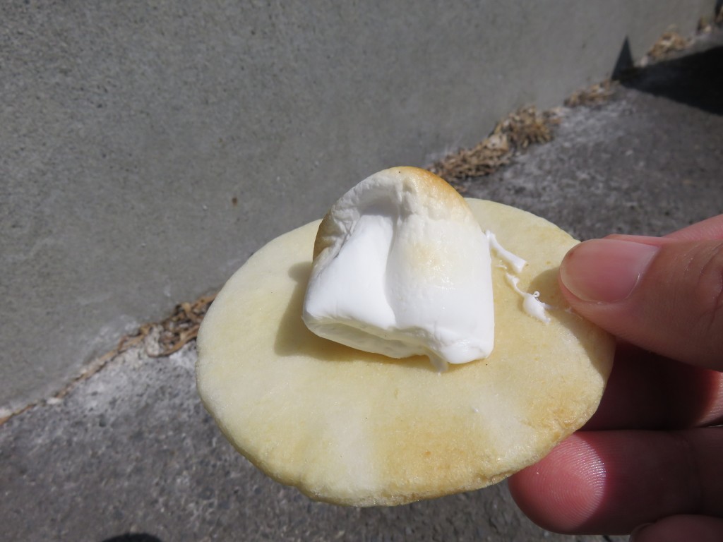 日記