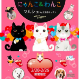 【2/20~26】にゃんこ＆わんこマルシェが札幌パセオにオープン！愛猫・愛犬に贅沢なおやつをプレゼント！