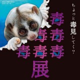 【3/22~5/7】延べ30万人を動員した毒毒毒毒毒毒毒毒毒展(もうどく展)が札幌パルコで開催!