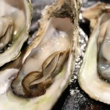 【2/15~17】厚岸のおいしいが集まる厚岸味覚まつりがサッポロファクトリーで開催！
