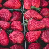 カフェ『JUICEDAY(ジュースデイ)』が4月26日にサッポロファクトリーにオープン!
