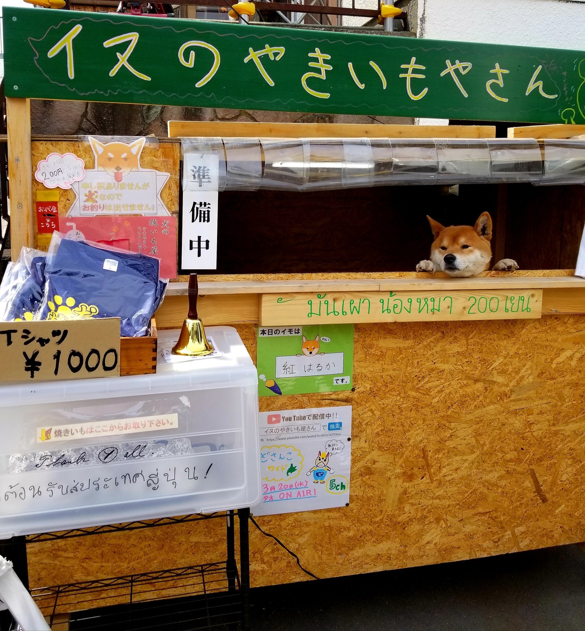 犬 カフェ 札幌