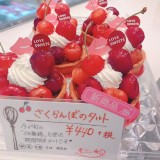 パレフォセットにて期間限定『さくらんぼのタルト』が発売！