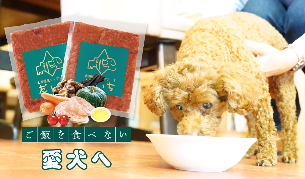 【北海道産ドッグフード だいち】ご飯を食べない愛犬のための無添加ドッグフードを販売