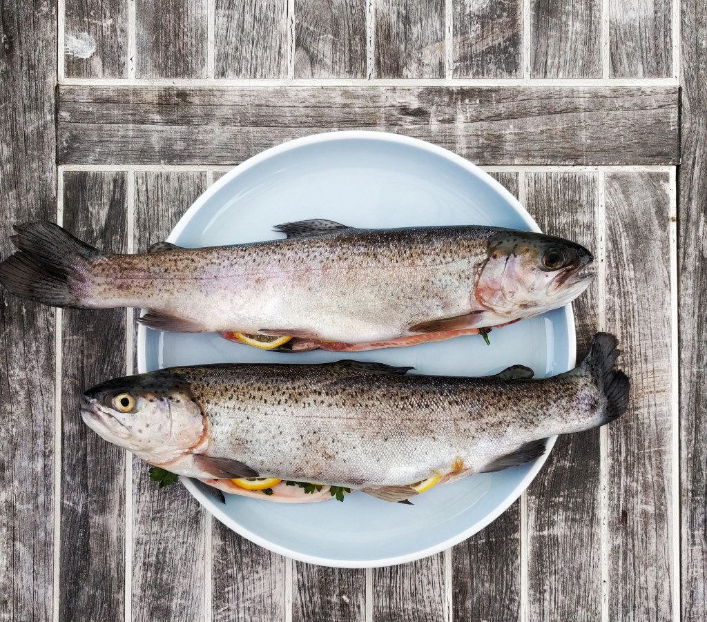 【シハチ鮮魚店】魚屋が提供する海鮮丼が食べれるぞっ!
