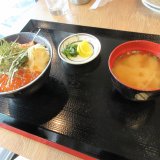 大衆酒場 富士山(ふじやま)の秋鮭といくら丼(別角度)