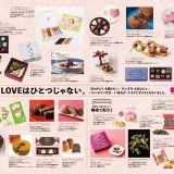 Goody ESTA vol.4のチョコレート