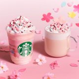 スターバックス春新作『さくら ミルクプリン フラペチーノ』＆『さくら ミルク ラテ』やタンブラーなどが発売！