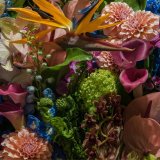 オーダーメイドの花屋さん『botanicalgarden NUE』が期間限定で切花の販売を実施！