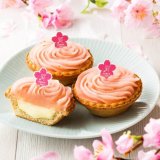 パブロミニから春限定チーズタルト『さくらもち』が発売！桜あんにもちもち求肥が楽しめる！