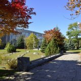 札幌まつりに開催する中島公園の露店が2020年は出店中止に！新型コロナウイルスの影響により
