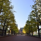 2020年7月17日(金)から開催予定だった『さっぽろ八月祭2020』が新型コロナの影響で開催中止へ