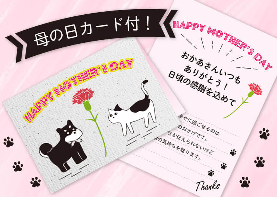 和み工房のクロちゃんマメちゃんセット(母の日カード付)
