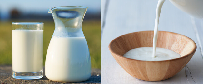ルタオの『宇治抹茶ミルクドゥーブル』に使用するジャージー牛乳