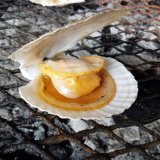 おウチで大北海道展で目利きのプロが厳選した海の幸を市場から直送販売する『おウチで卸売市場』が開始！