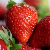 定山渓ファームで2020年度のいちご狩りが6月6日より開始！今年は完全予約制！