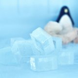 パパブブレから簡単にノンアルコールドリンクが作れる『氷キャンディ』が発売！