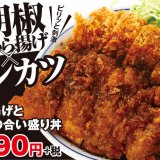 かつやの合い盛りシリーズから“から揚げ＆タレのW黒胡椒”『黒胡椒から揚げとチキンカツの合い盛り丼』が登場！