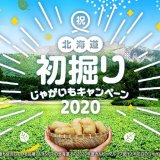 カルビーグループが今年の初掘りじゃがいもを使った『ポテトチップス うすしお味』を限定32,000袋販売！
