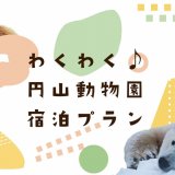 限定1室！札幌プリンスホテルが円山動物園とコラボしたコンセプトルームの宿泊プランを販売！