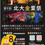 北海道大学『北大金葉祭』のイチョウ並木 ライトアップが2020年はYoutubeにてプレミア公開を実施！