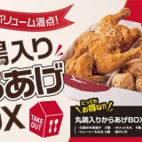 からあげ専門店 からやまから丸鶏の半身揚げ『丸鶏入りからあげBOX』が1月22日(金)より発売！