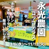 清田区にある『コッコテラス』がきたキッチン オーロラタウン店へ期間限定で出店！エッグタルトやチーズケーキも販売
