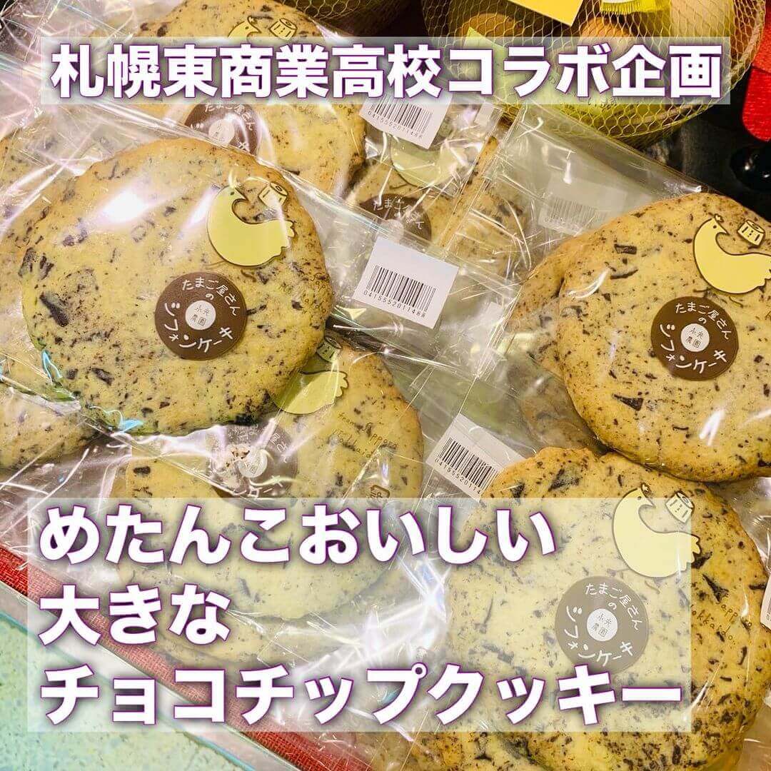 コッコテラスの『コッコテラス×札幌東商業高校　めたんこおいしい 大きなチョコチップクッキー』