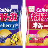 ロングセラー板ガムの味を再現した『ポテトチップス ブルーベリーガム味 / 梅ガム味』が2月15日(月)より全国のドン・キホーテで発売！