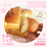 一本堂 札幌琴似店からふんわり柔らかな食感の『ちぎりシュガーソフト』が3月3日(水)より発売！