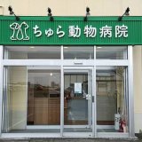 北区のちゅら動物病院は従業員4名規模では日本初となるハラスメント相談窓口・内部通報窓口を第三者機関委託に設置！
