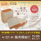 西区にある一本堂 札幌琴似店からTBS 金曜ドラマ「リコカツ」とのコラボ商品『一本堂 ヨーグルト食パン』が4月22日(木)より発売！