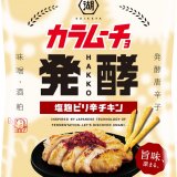 発酵食材×辛味の絶妙バランス『発酵カラムーチョ 塩麹ピリ辛チキン』が発売！