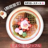 手稲にあるCAFE FUGOから『桜 × 抹茶』の限定メニューが発売！