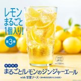 モスバーガーから甘夏のドリンク「まるごと！レモンのジンジャーエールwith甘夏ソース」・「甘夏 ジンジャーエール」が5月20日(木)より発売！