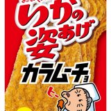 株式会社合食と株式会社湖池屋のコラボ『いかの姿あげカラムーチョ』が5月17日(月)より期間限定で発売！