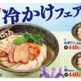 讃岐うどんチェーン「はなまるうどん」から個性派揃いの“3種の冷かけ”が5月25日(火)より発売！