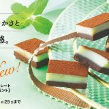 ロイズから爽やかなミントと力強いカカオ『生チョコレート[チョコミント]』＆フルーティな『生チョコレート[オレンジ＆マンゴー]』が6月1日(火)より発売！