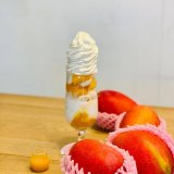 宮の森にあるTSURU CAFEから『フレーバーソフト「マンゴー」』が発売！