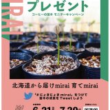 コーヒーチェーンを展開する可否茶館が創業50周年記念とし『コーヒーの苗木50th mirai モニター募集キャンペーン』を開始！