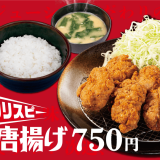 とんかつ専門店の「松のや」にてザクザクの食感も美味しい『クリスピー唐揚げ』が6月9日(水) 15:00より発売！
