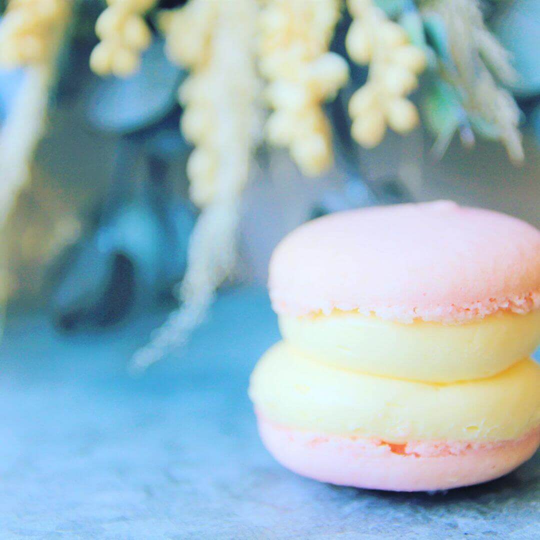 Chubby Macaron Sapporo 大通ル トロワに可愛らしい ぽっちゃりマカロン の専門店がオープン 札幌リスト
