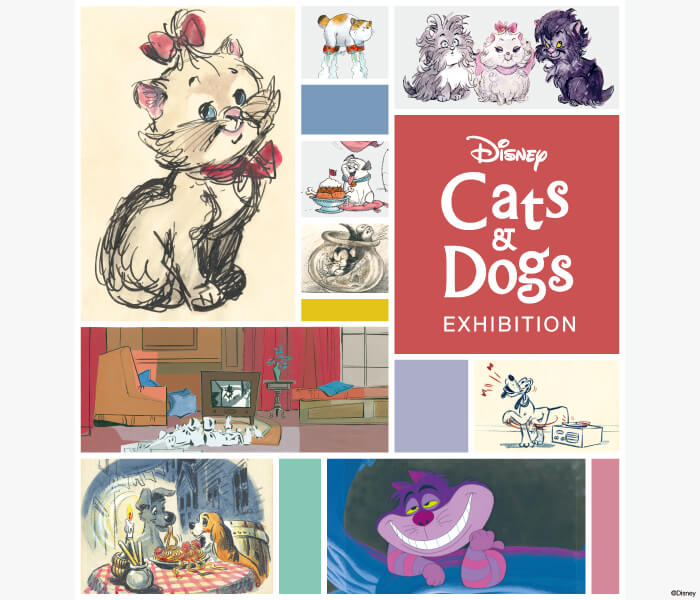 ディズニー キャッツ＆ドッグス展-メインビジュアル