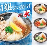 讃岐うどんチェーン「はなまるうどん」から白銀の雪山のようなかき氷をトッピングした『極寒白銀ぶっかかけ』3種が7月6日(火)より発売！