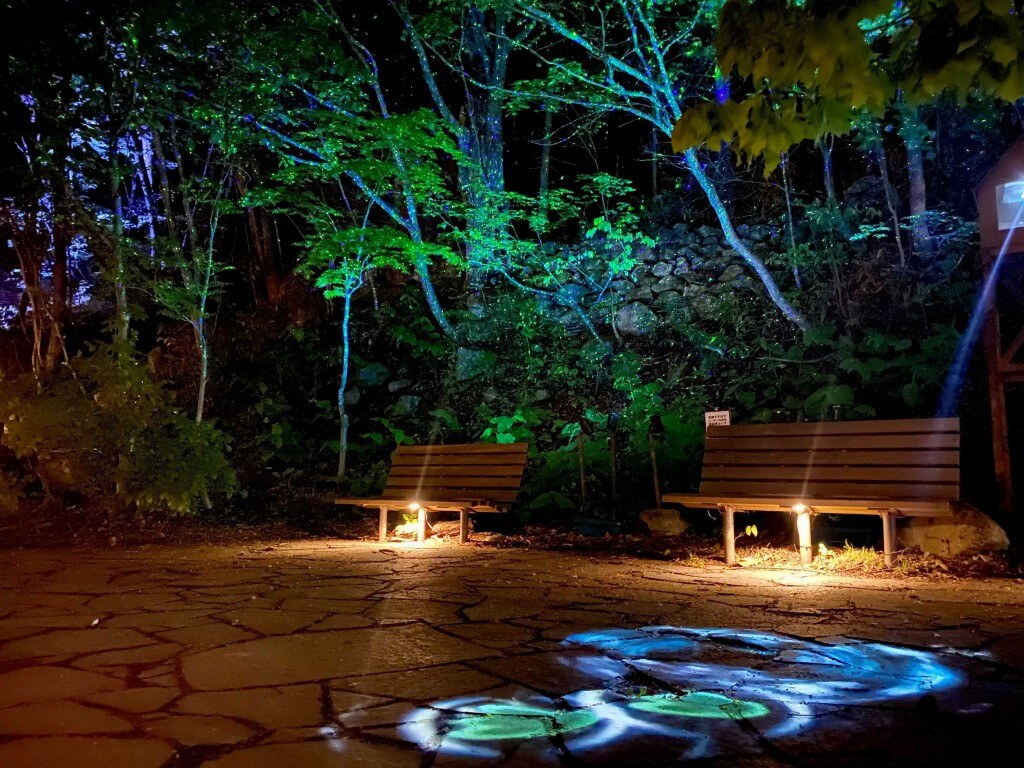 JOZANKEI NATURE LUMINARIE -WATER LIGHT VALLEY-のForest Illumination