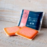 【白い恋人×萩の月×博多通りもん】お土産菓子メーカー3社からなる『ニッポンのおみやげんきプロジェクト』が10月6日(水)より大丸札幌に期間限定で出店！
