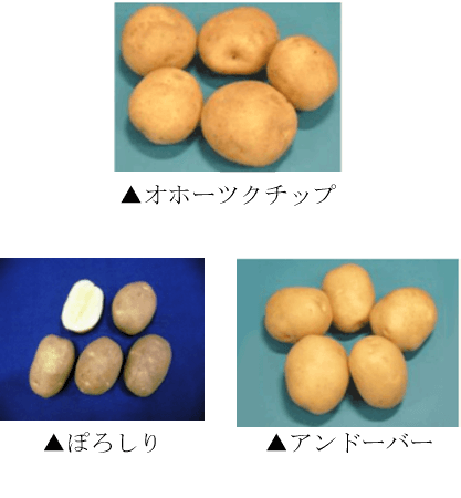 『ポテトチップス 北海道じゃがいも物語』-国産ジャガイモ3品種を使用