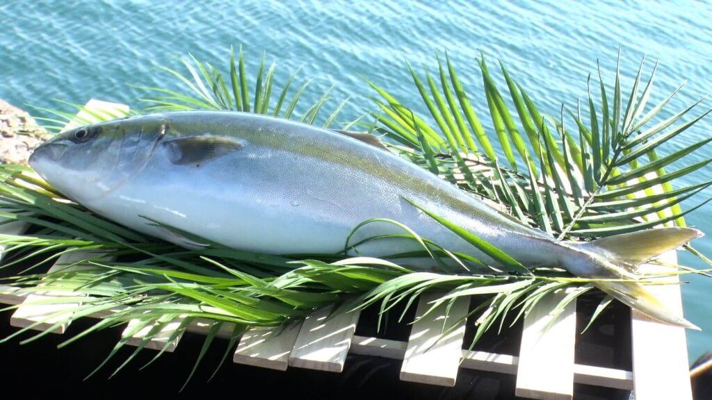 くら寿司-国際的基準のオーガニック水産物として日本初の認証取得